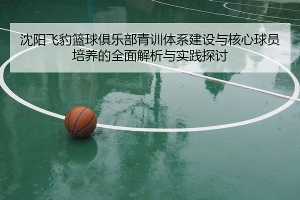 沈阳飞豹篮球俱乐部青训体系建设与核心球员培养的全面解析与实践探讨